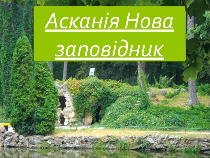 Асканія НоваАсканія Нова заповідник