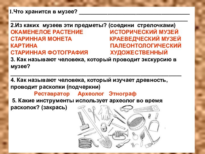 Что хранится в музее? ___________________________________________________________________________________________2.Из каких музеев эти предметы? (соедини стрелочками)ОКАМЕНЕЛОЕ РАСТЕНИЕ