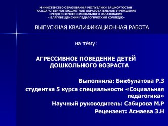 Агрессивное поведение детей дошкольного возраста