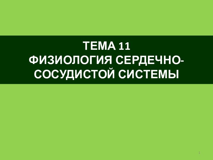 ТЕМА 11 ФИЗИОЛОГИЯ СЕРДЕЧНО-СОСУДИСТОЙ СИСТЕМЫ