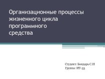 Организационные процессы жизненного цикла программного средства