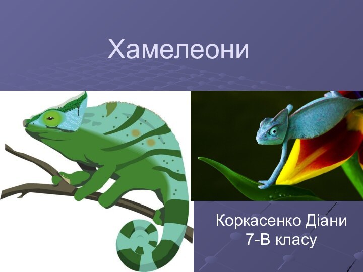 Хамелеони Коркасенко Діани 7-В класу