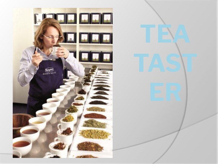 TEA TASTER