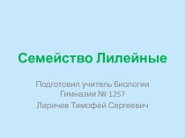 Семейство Лилейные