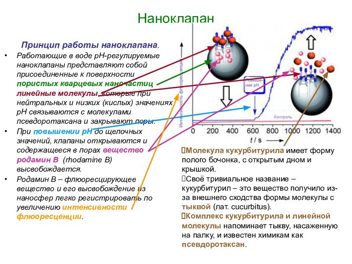 Наноклапан	Принцип работы наноклапана. Работающие в воде pH-регулируемые наноклапаны представляют собой присоединенные к