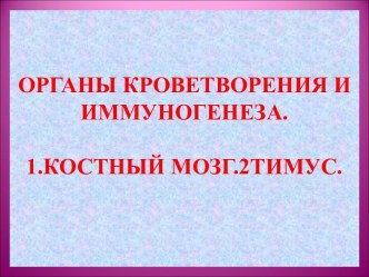 Органы кроветворения и иммуногенеза. Костный мозг. Тимус