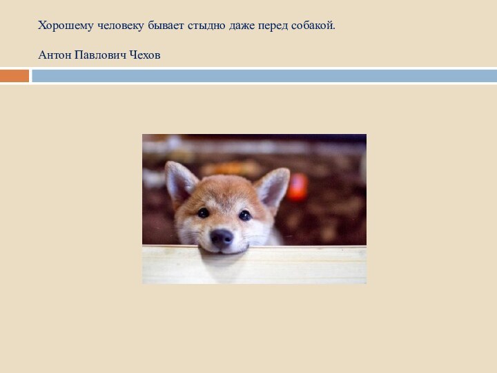 Хорошему человеку бывает стыдно даже перед собакой.  Антон Павлович Чехов