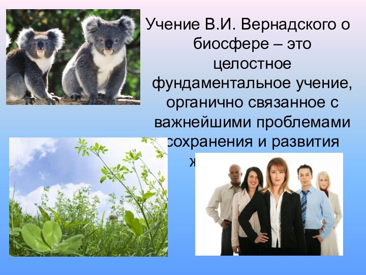 Учение В.И. Вернадского о биосфере – это целостное фундаментальное учение, органично