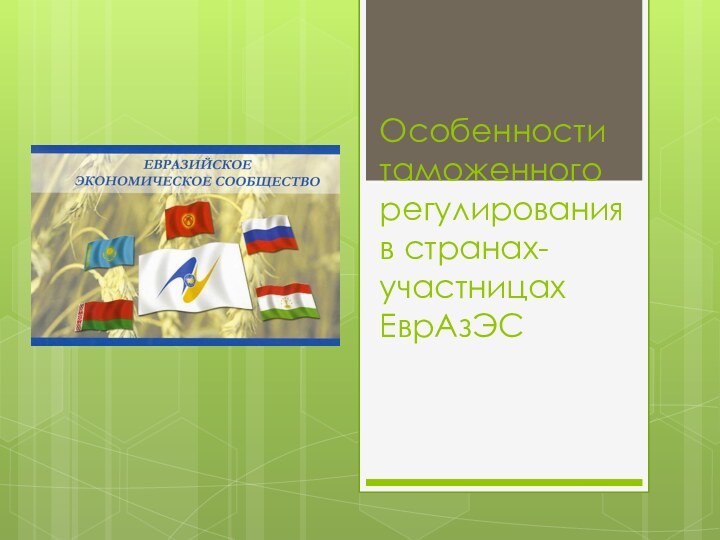 Особенности таможенного регулирования в странах- участницах ЕврАзЭС