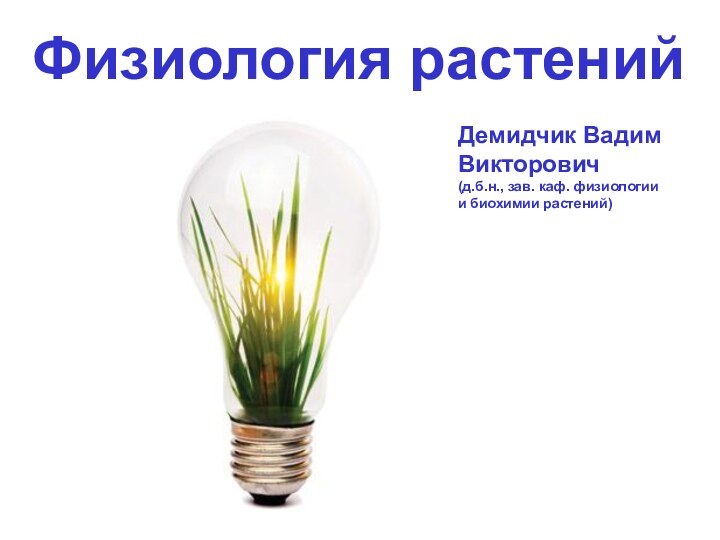 Физиология растенийДемидчик Вадим Викторович(д.б.н., зав. каф. физиологии и биохимии растений)