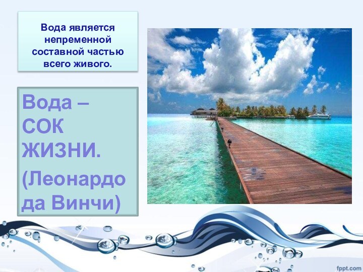 Вода является непременной составной частью всего живого.Вода – СОК ЖИЗНИ.(Леонардо да Винчи)