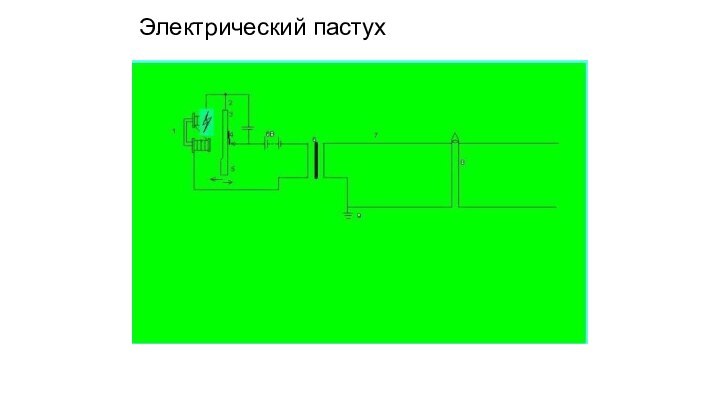 Электрический пастух