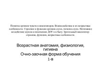 Понятие органов чувств и анализаторов. Взаимодействие и их возрастные особенности. Строение и функции органов слуха