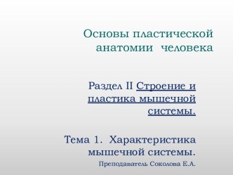 Основы пластической анатомии человека