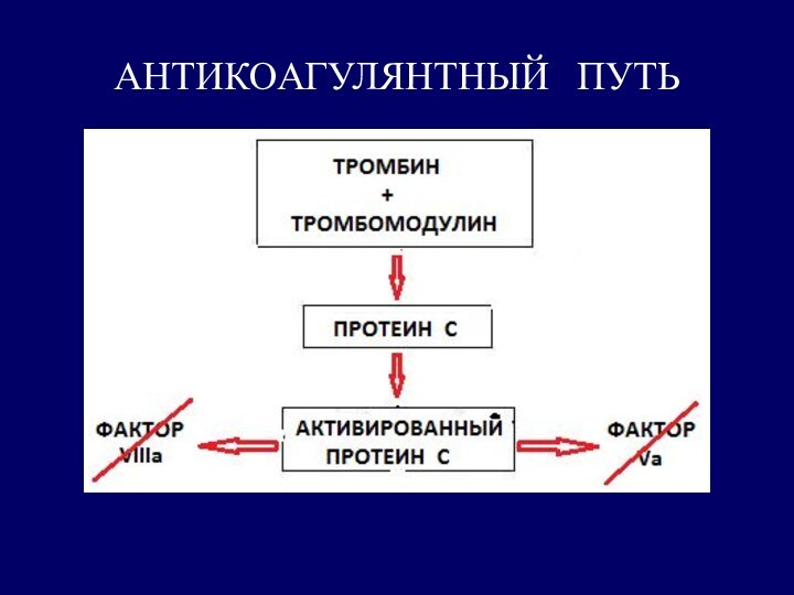 АНТИКОАГУЛЯНТНЫЙ ПУТЬ