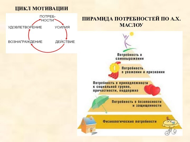 ЦИКЛ МОТИВАЦИИПИРАМИДА ПОТРЕБНОСТЕЙ ПО А.Х. МАСЛОУ