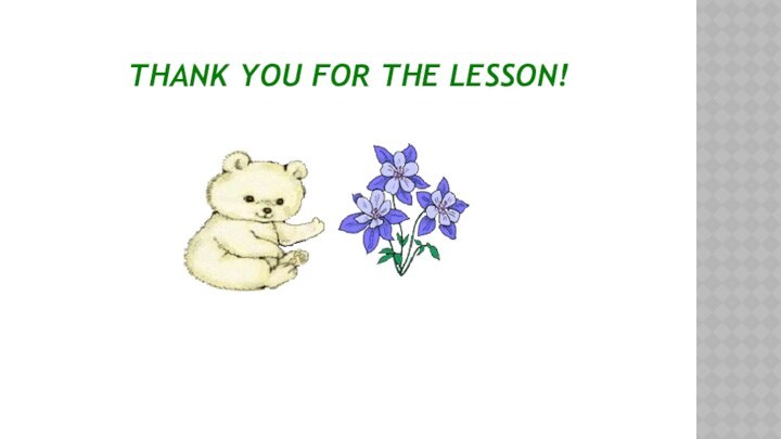 THANK YOU FOR THE LESSON!