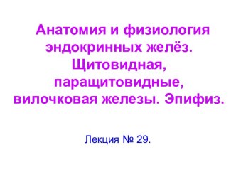 Анатомия и физиология эндокринных желёз. Щитовидная, паращитовидные, вилочковая железы. Эпифиз