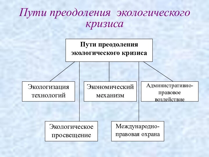 Пути преодоления экологического кризиса