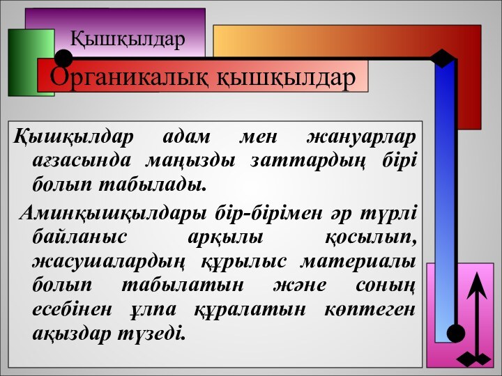 ҚышқылдарОрганикалық қышқылдарҚышқылдар адам мен жануарлар ағзасында маңызды заттардың бірі болып