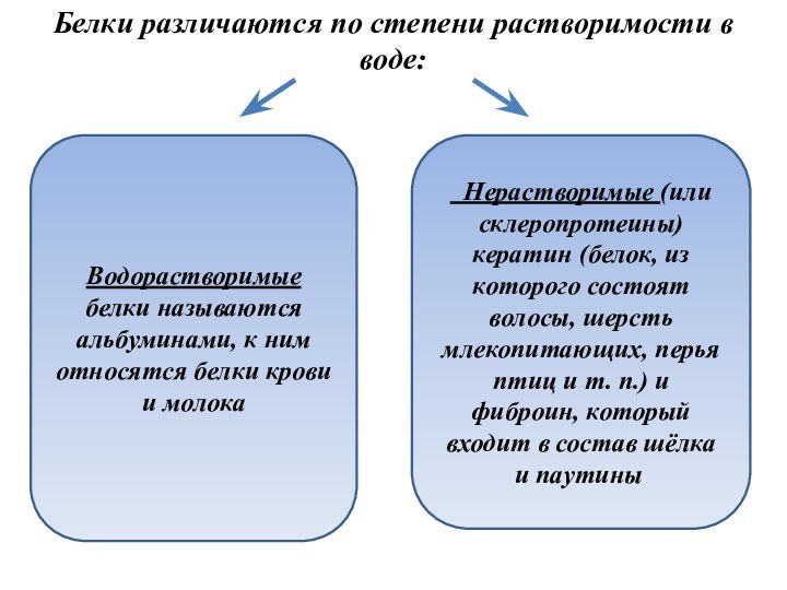 Белки различаются по степени растворимости в воде: Водорастворимые белки называются альбуминами, к