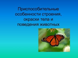 Адаптация организмов к окружающей среде