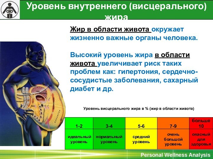 Уровень внутреннего (висцерального) жира (жир в области живота )Жир в области живота