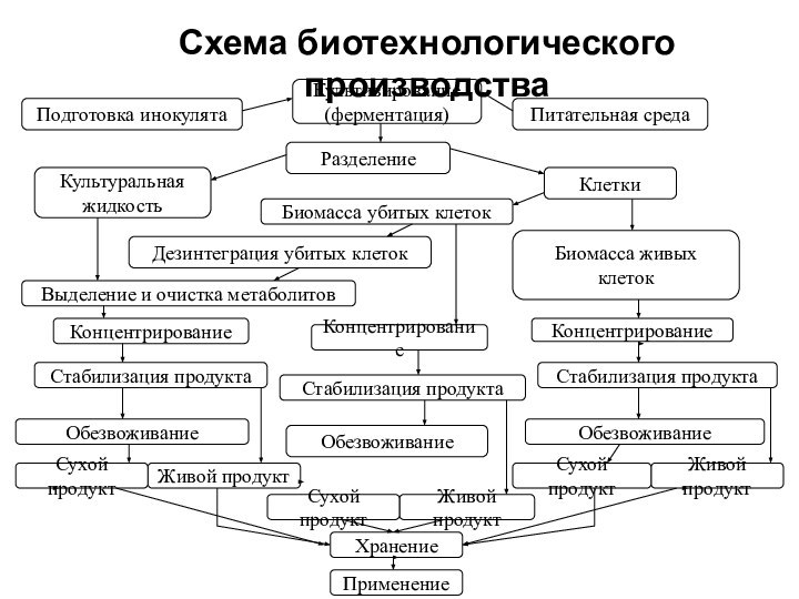 Питательная средаРазделениеКультуральная жидкостьКлеткиКонцентрированиеКонцентрированиеКонцентрированиеВыделение и очистка метаболитовДезинтеграция убитых клетокБиомасса убитых клетокСтабилизация продуктаБиомасса живых