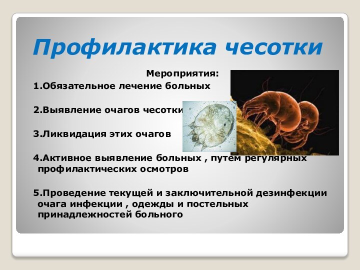 Профилактика чесоткиМероприятия: 1.Обязательное лечение больных 2.Выявление очагов чесотки 3.Ликвидация этих очагов 4.Активное