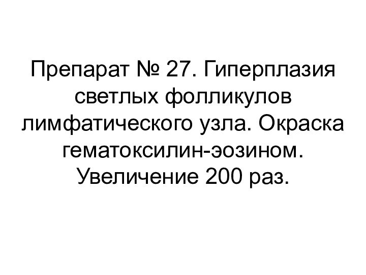 Препарат № 27. Гиперплазия светлых фолликулов лимфатического узла. Окраска гематоксилин-эозином. Увеличение 200 раз.