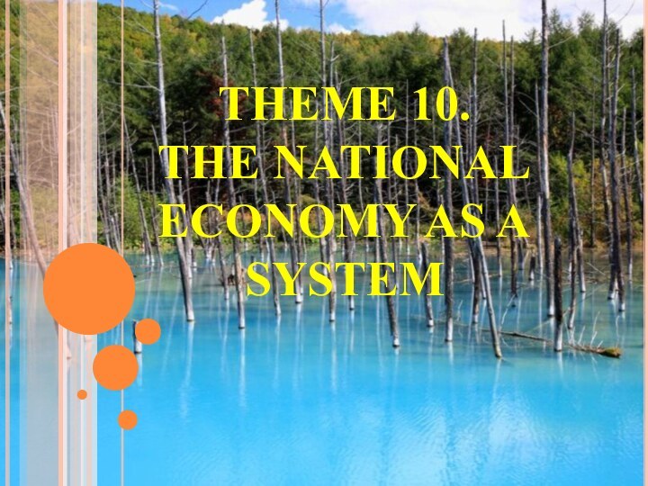 THEME 10.  THE NATIONAL ECONOMY AS A SYSTEM