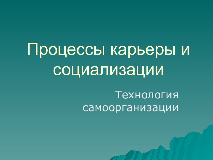 Процессы карьеры и социализацииТехнология самоорганизации