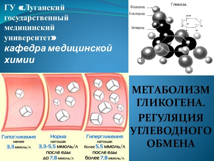 ГУ «Луганский  государственный  медицинский  университет» кафедра медицинской химииМЕТАБОЛИЗМ ГЛИКОГЕНА. РЕГУЛЯЦИЯ УГЛЕВОДНОГО ОБМЕНА