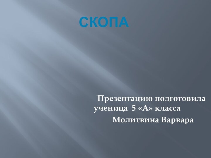 СКОПА        Презентацию подготовила