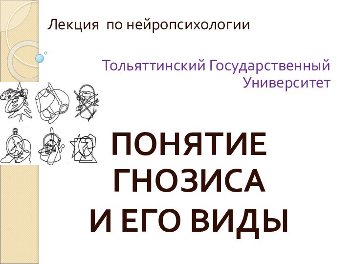 Лекция по нейропсихологииТольяттинский Государственный УниверситетПОНЯТИЕ ГНОЗИСА И ЕГО ВИДЫ