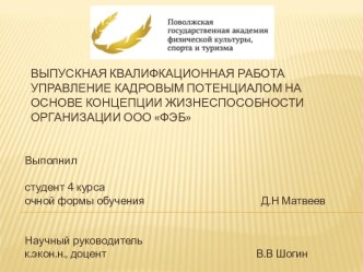 Управление кадровым потенциалом на основе концепции жизнеспособности организации ООО ФЭБ