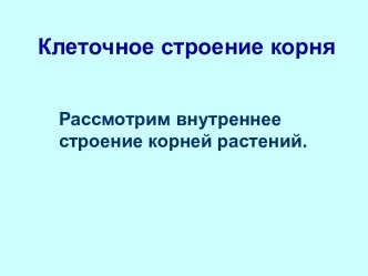 Клеточное строение корня