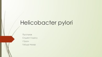 Бактерія Helicobacter pylori