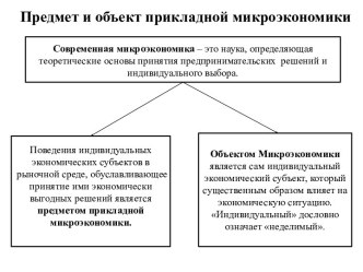 Предмет и объект прикладной микроэкономики