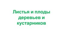 Листья и плоды деревьев и кустарников