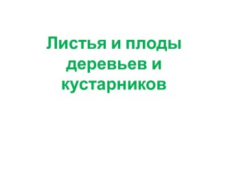 Листья и плоды деревьев и кустарников