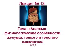 Анатомо-физиологические особенности желудка, тонкого и толстого кишечника. (Лекция 13)