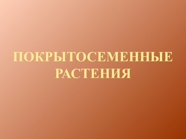 ПОКРЫТОСЕМЕННЫЕ РАСТЕНИЯ