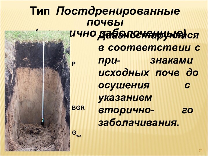 Тип Постдренированные почвы   (вторично заболоченные) Диагностируются в соответствии с при-