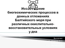 Исследование биогеохимических процессов в донных отложениях Балтийского моря при различных условиях у дна