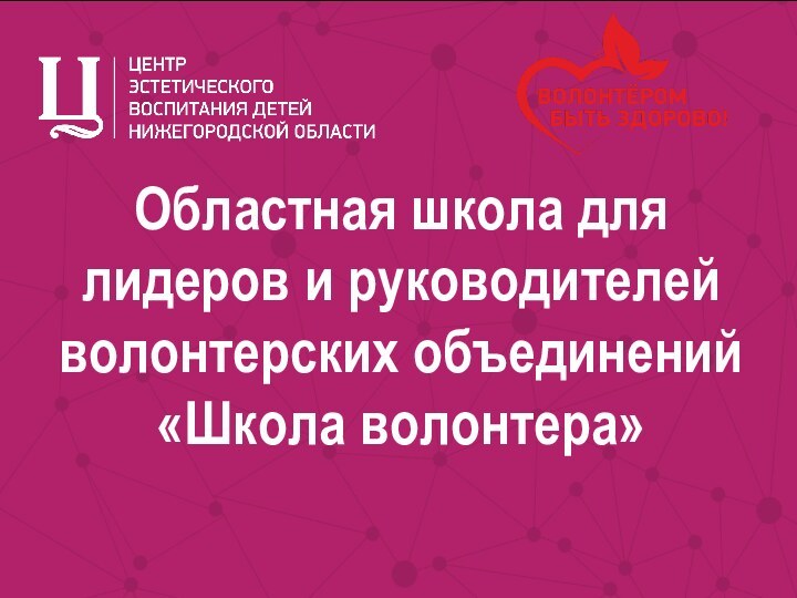 Областная школа для лидеров и руководителей волонтерских объединений  «Школа волонтера»