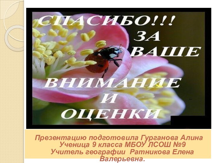 Презентацию подготовила Гурганова Алина  Ученица 9 класса МБОУ ЛСОШ №9 Учитель