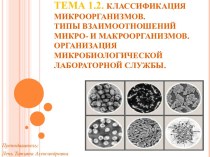 Классификация микроорганизмов. Типы взаимоотношений микро- и макроорганизмов