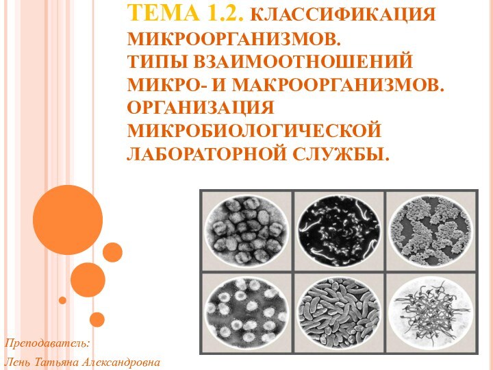 ТЕМА 1.2. КЛАССИФИКАЦИЯ МИКРООРГАНИЗМОВ.  ТИПЫ ВЗАИМООТНОШЕНИЙ МИКРО- И МАКРООРГАНИЗМОВ.  ОРГАНИЗАЦИЯ