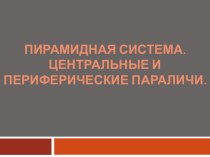 Пирамидная система. Центральные и периферические параличи